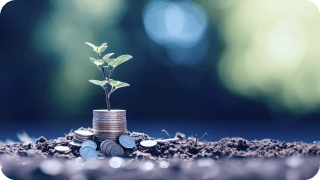 Sprout growing from coins representing compound growth