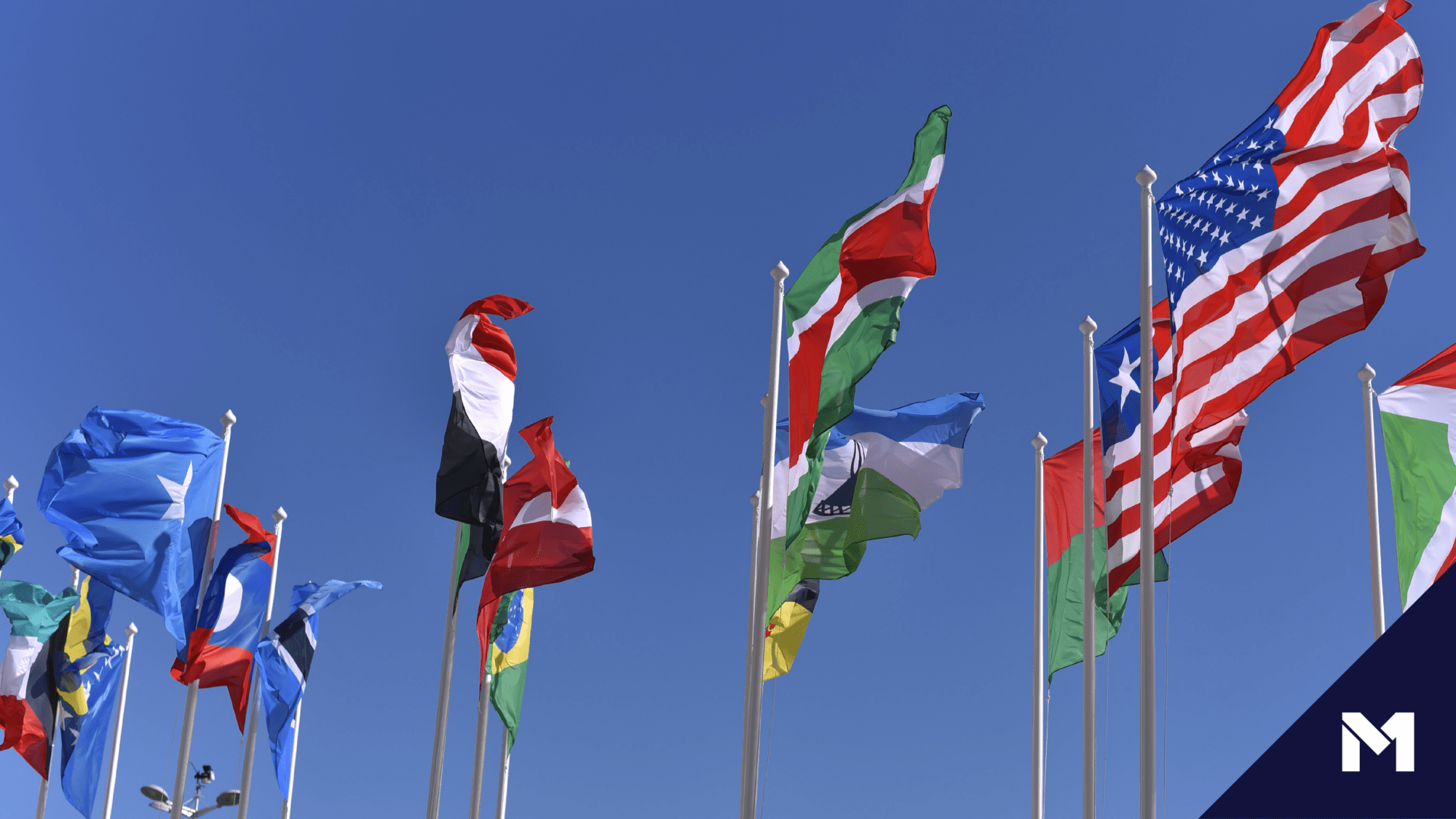 The national flags of numerous countries, indicating international collaboration.