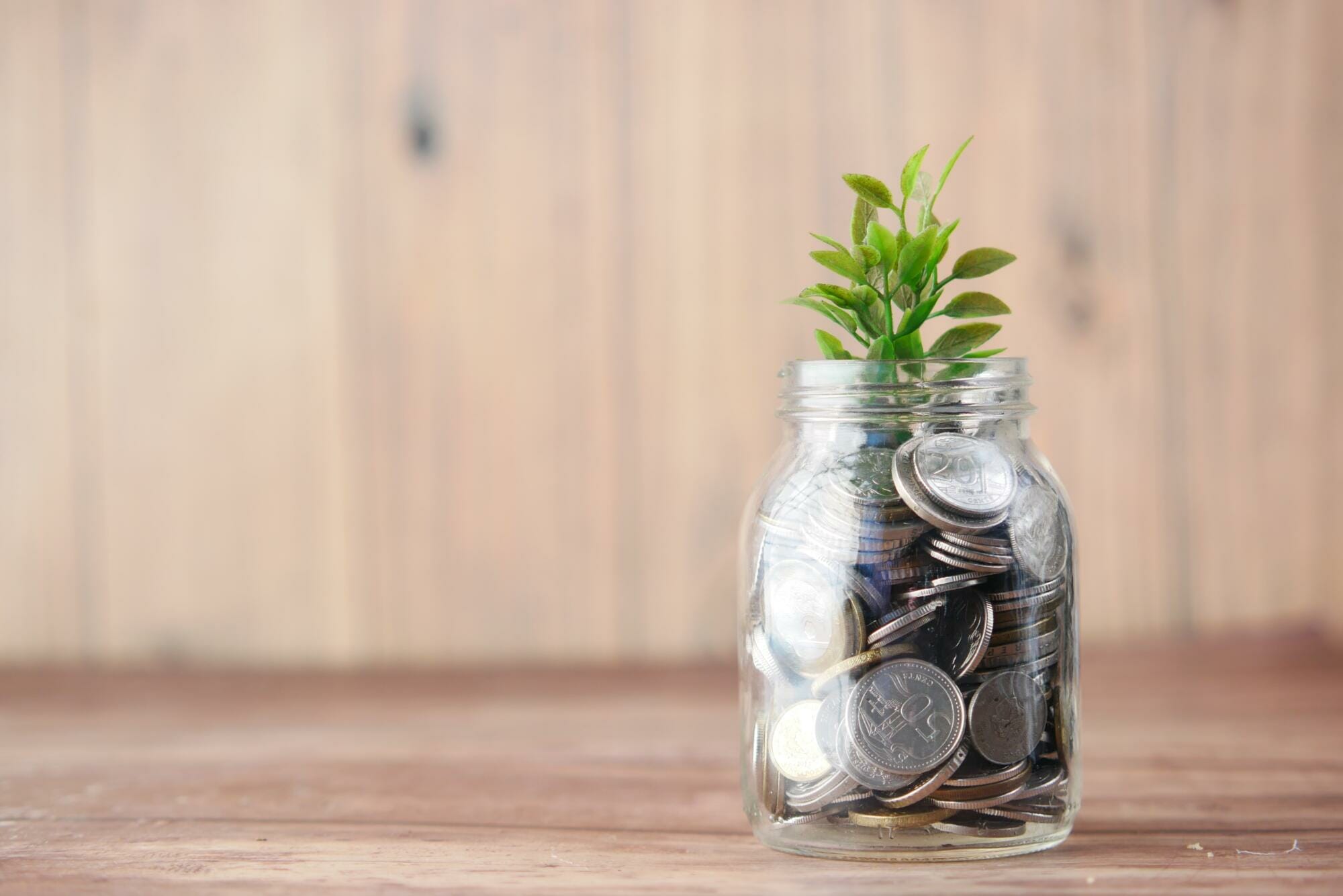 Mason jar filled with coins and plant sprouting from inside.