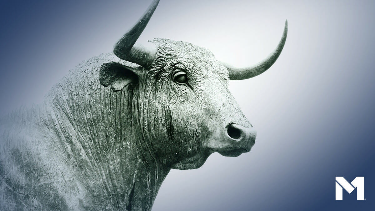 What Is A Bull Market?